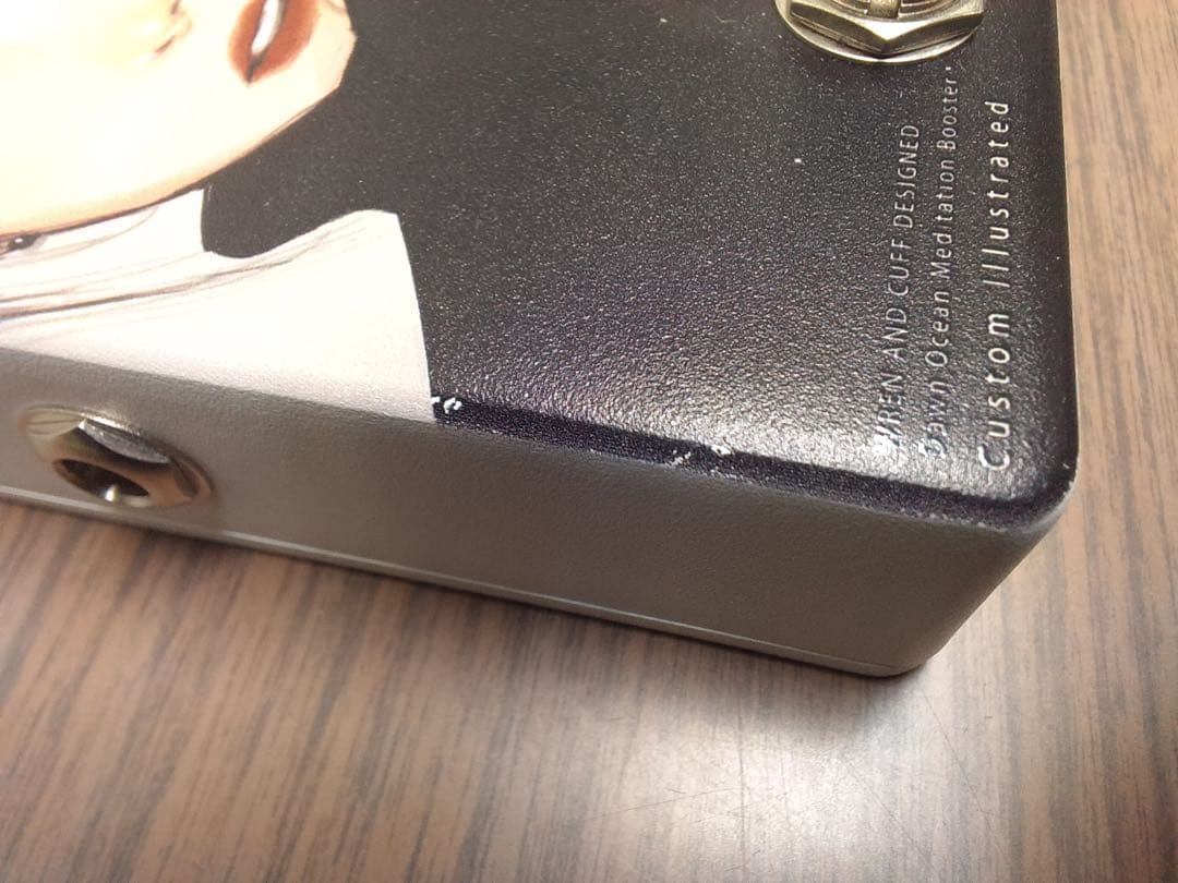 アニマルズペダルCustom Illustrated DOMB might日差し