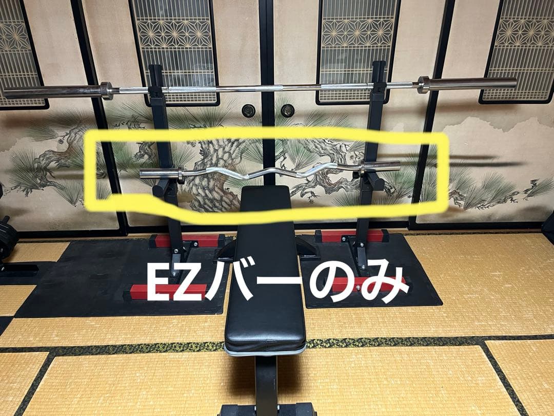 【送料込み】WILDフィット　EZバー