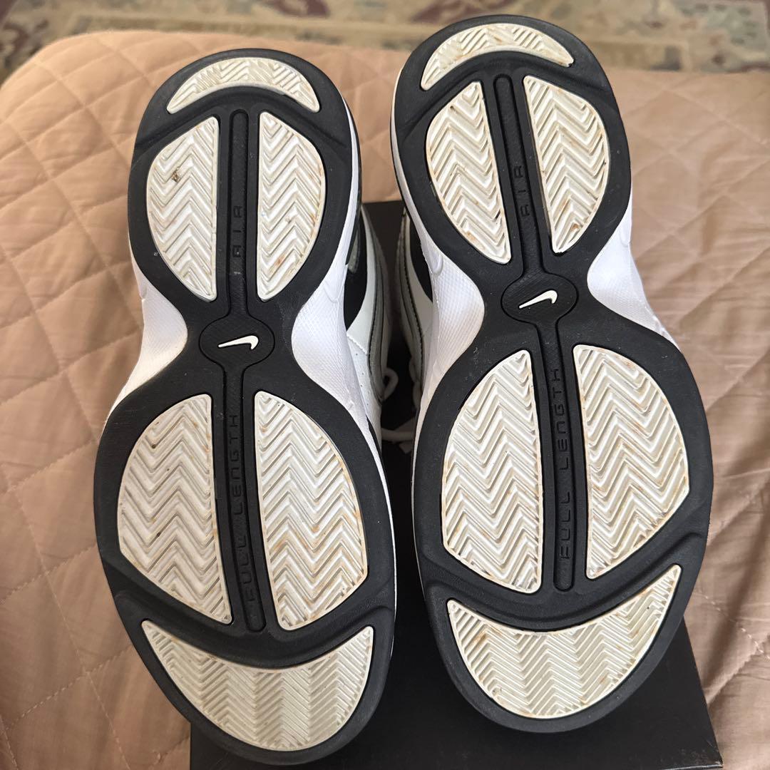 Nike Air シューズ　バッシュ