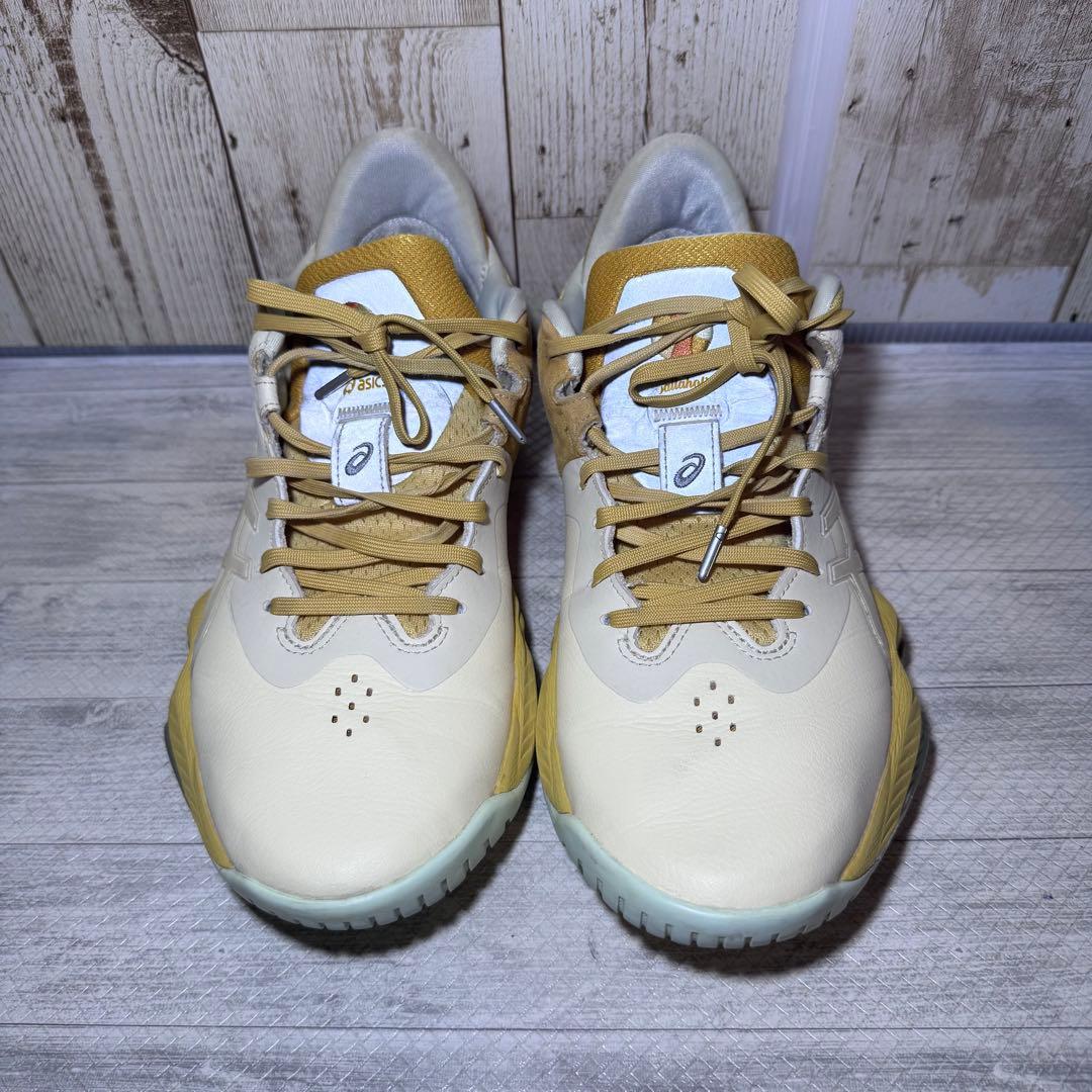【極美品】ASICS ボーラホリック ノヴァサージ 2足セット