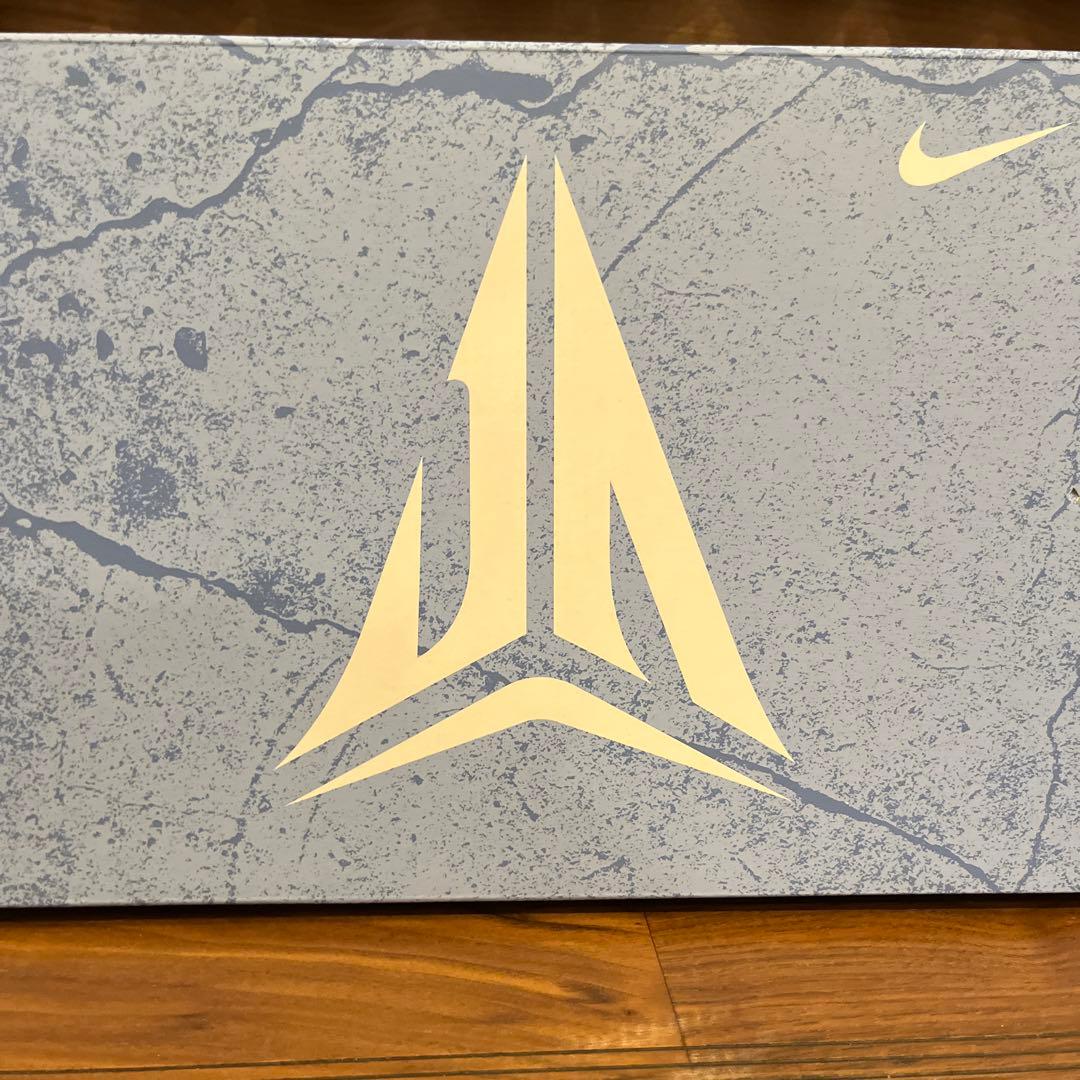 シューズ(男性用) Nike Ja 1 EP bite (26cm)