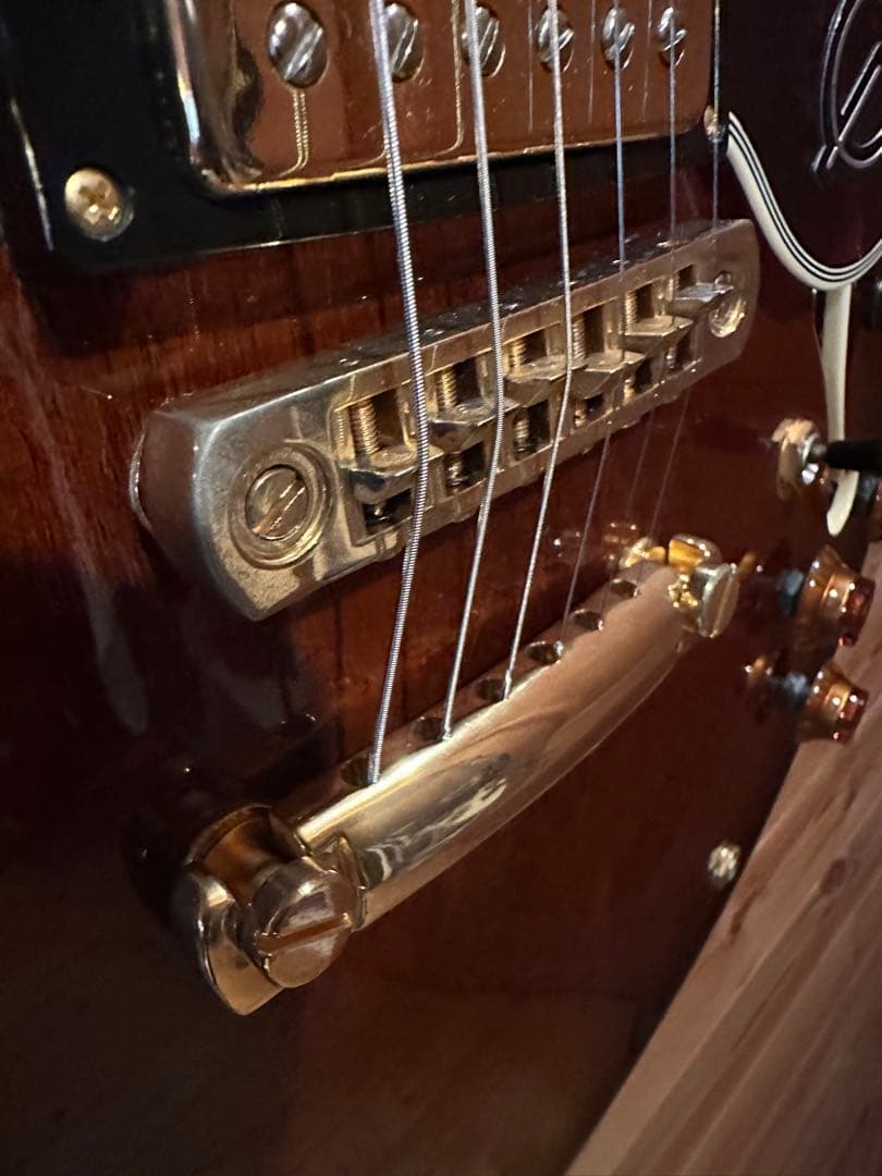 519rinrinpark ！Epiphone Sheraton
