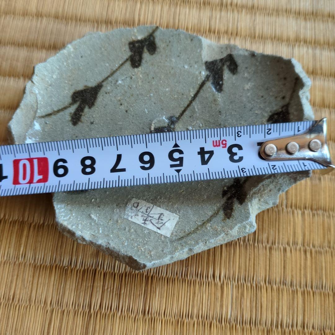 植物模様の灰色陶器皿　古唐津の陶片　錆谷窯発掘品