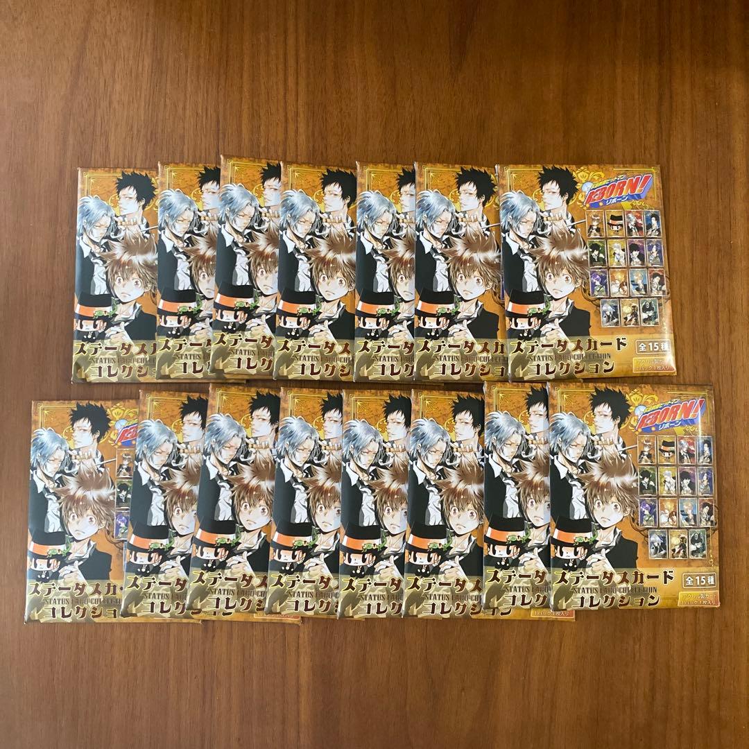 家庭教師ヒットマンREBORN! ステータスカード　ステカ　全15種