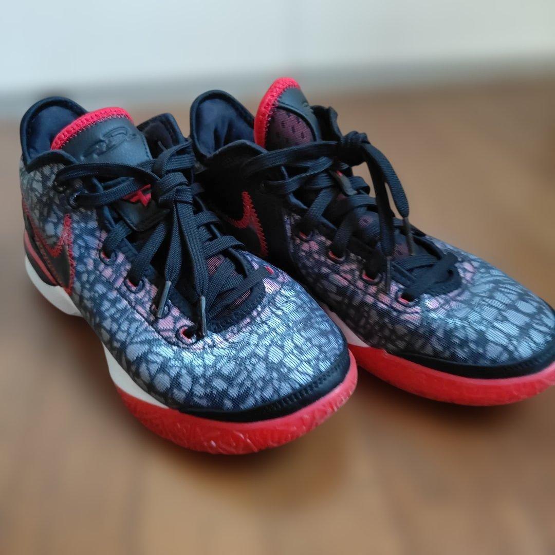 NIKE　Lebron nxxt gen Black　サイズ25.5cm