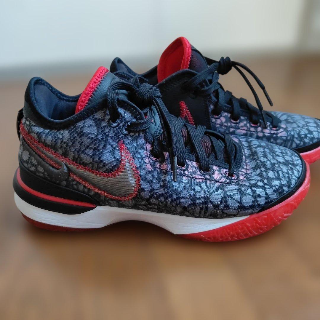 NIKE　Lebron nxxt gen Black　サイズ25.5cm