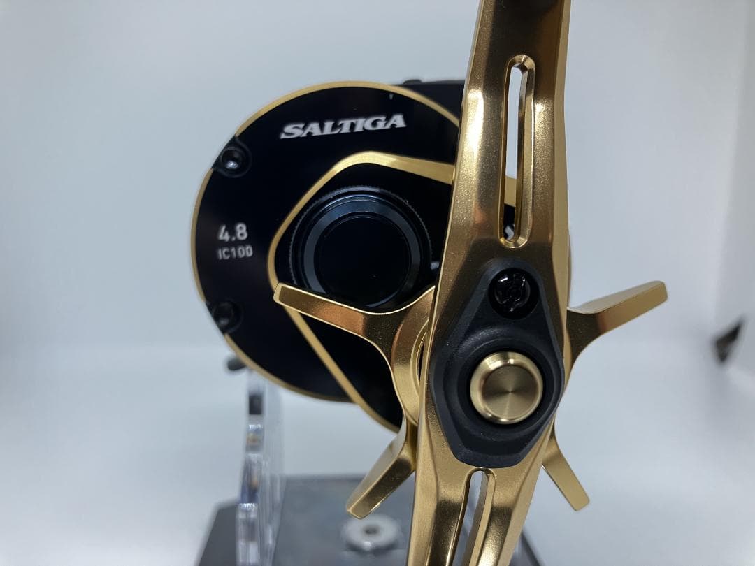 21 SALTIGA ソルティガ IC 100P-DH