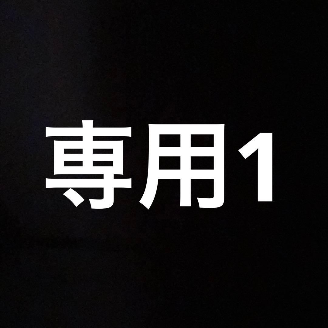 専用1