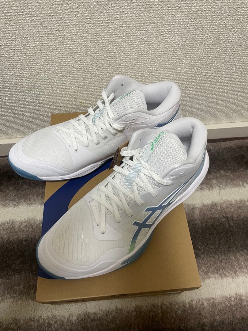 【新品】アシックスSKY ELITE FF MT 3 27.5㎝ スカイエリート