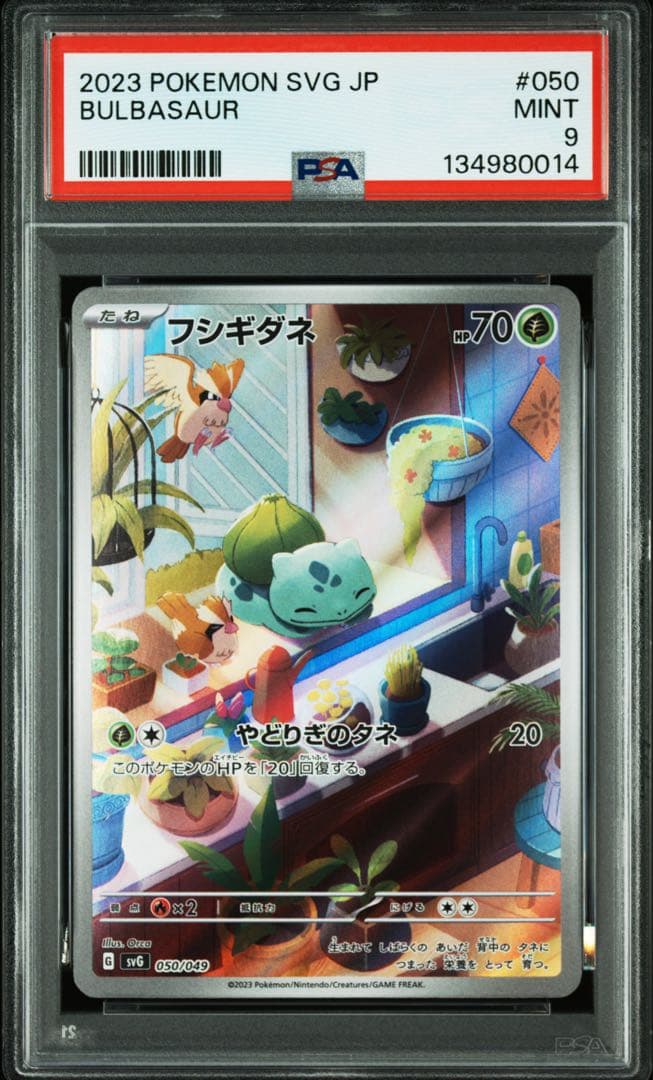 フシギダネAR ヒトカゲAR ゼニガメAR psa 3連番