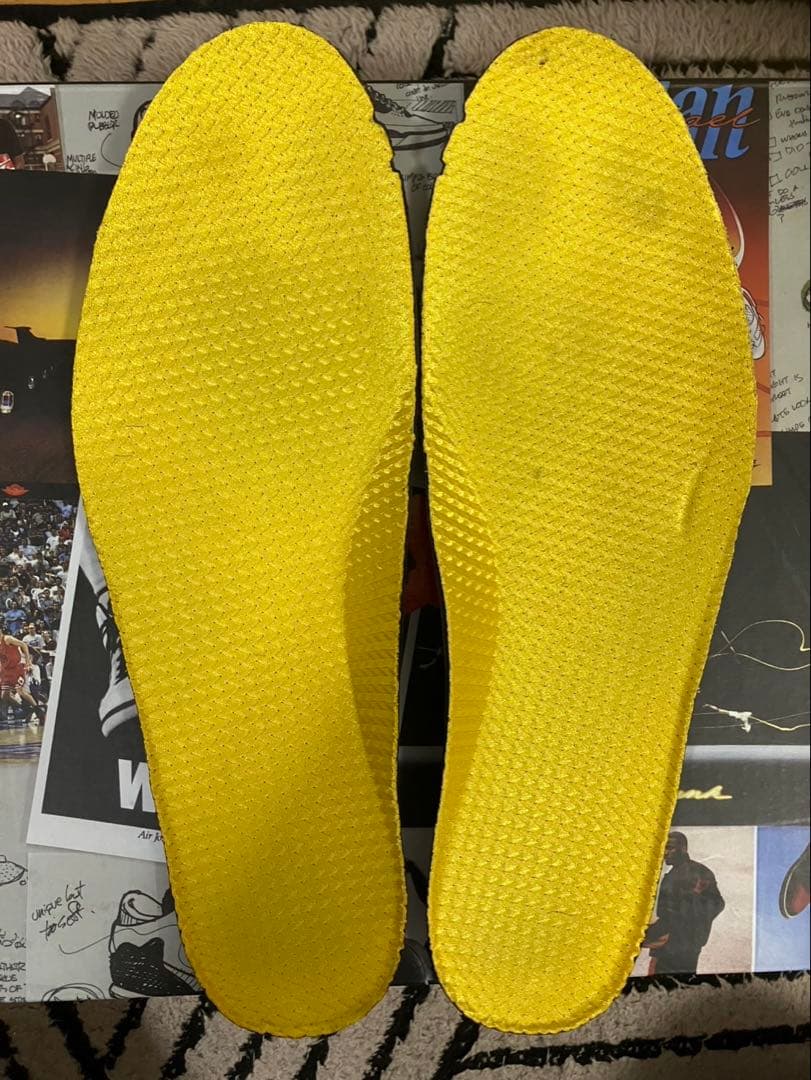 シューズ(男性用) NIKE AIR JORDAN 5 \"MICHIGAN\" 28.5cm