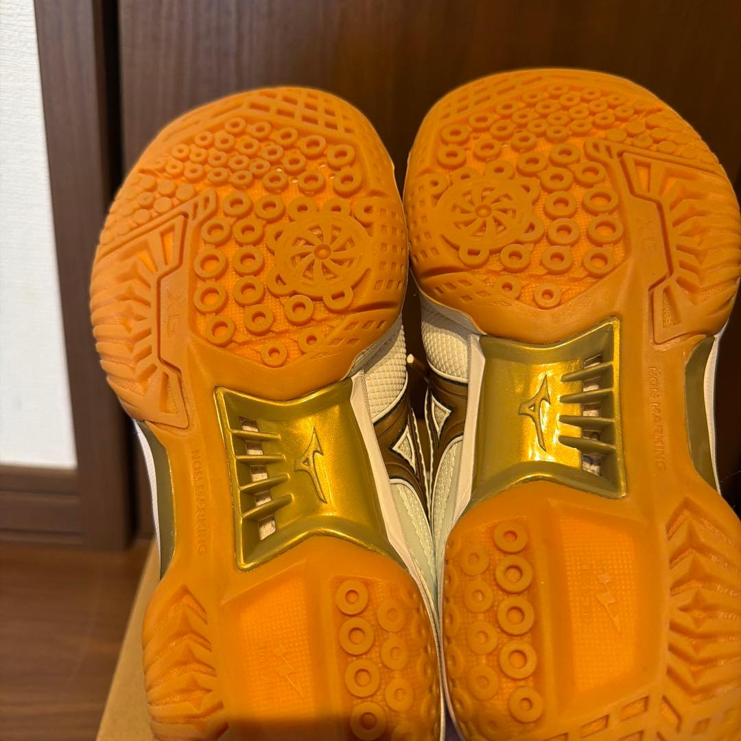 Mizuno バドミントンシューズ ホワイト/ブラウン　ウェーブファングプロ