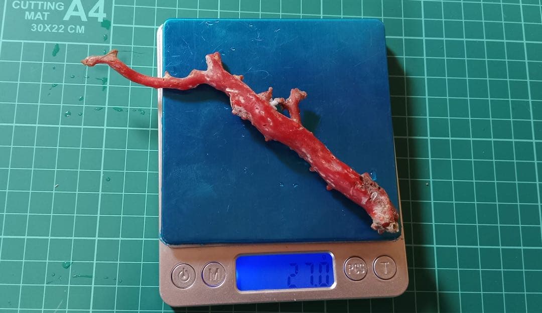 赤色サンゴオブジェ
