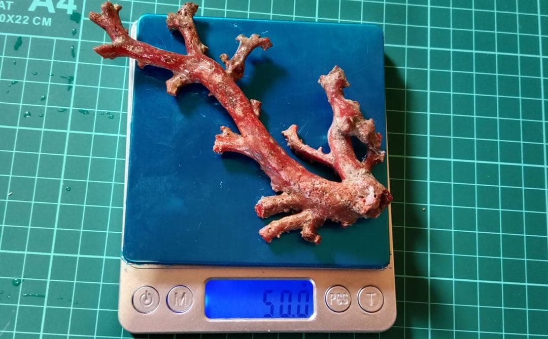 赤色サンゴオブジェ