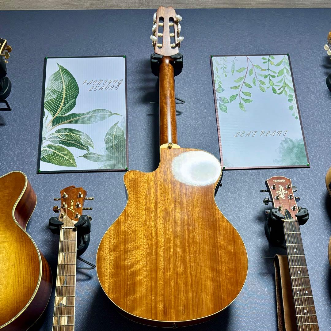 【美品】yamaha apx 5NA 細いネックで弾きやすいエレガット