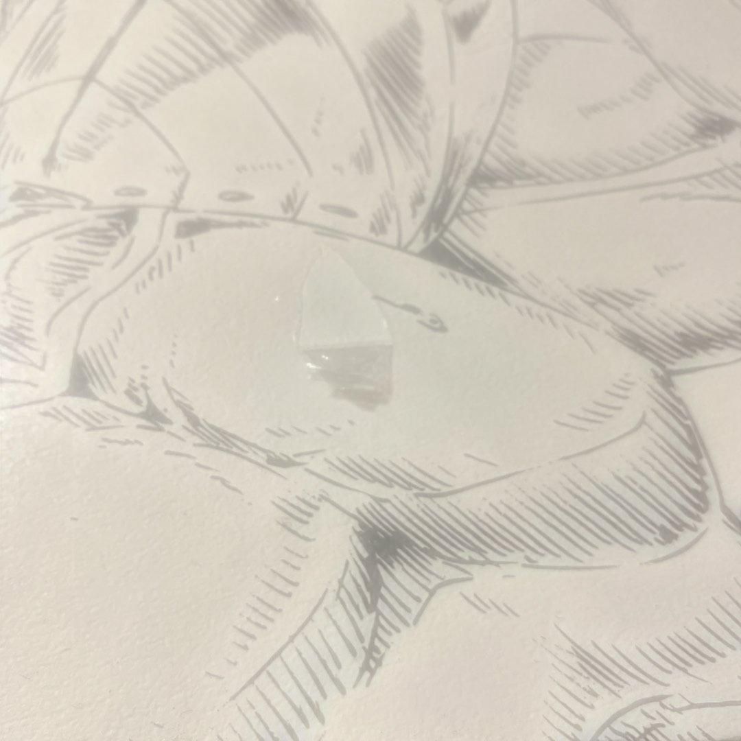 C88 Fate UBW ufotable ランサー クーフーリン 原画集