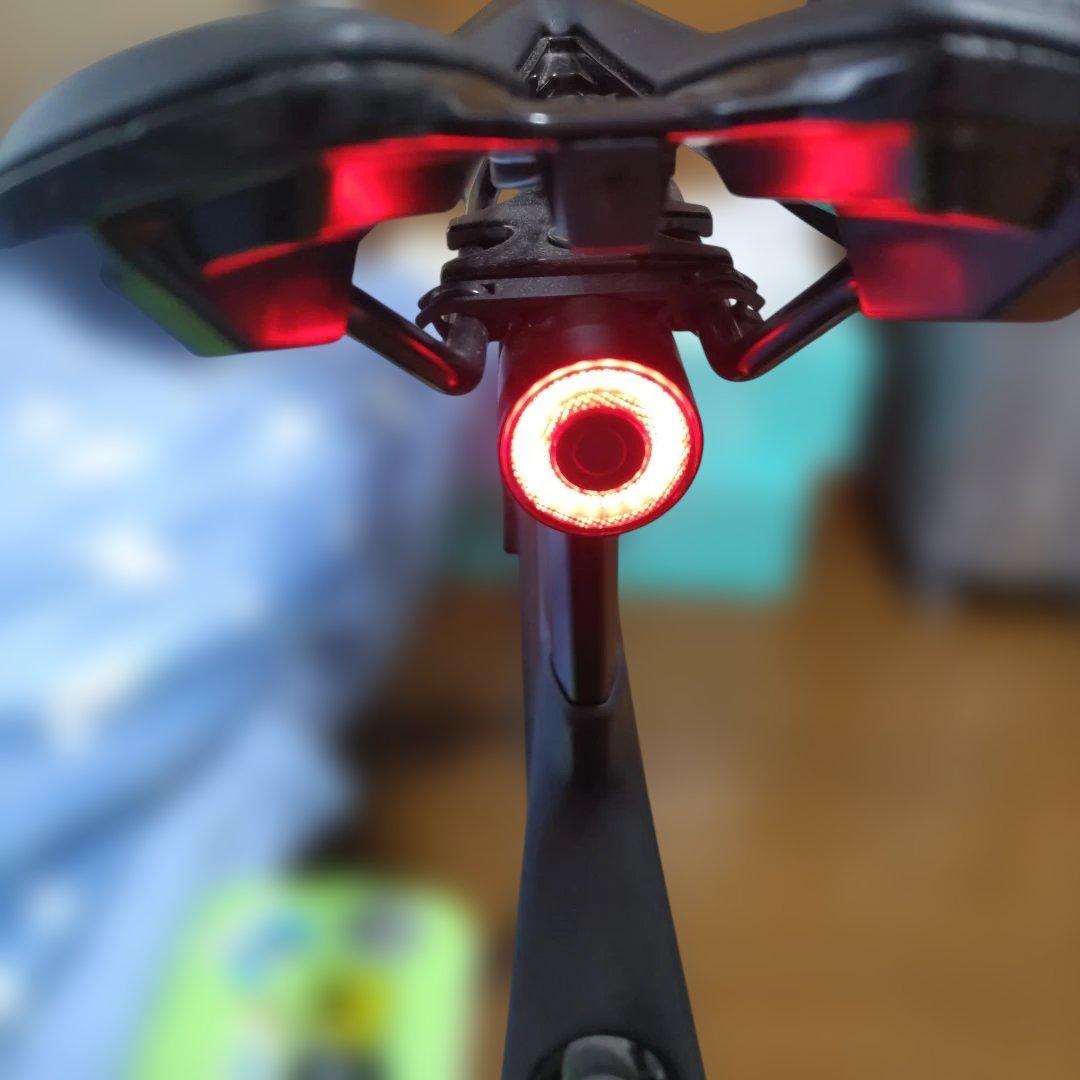 引取限定★GIANT★TCR ADVANCED 2 DISC SE★カーボン