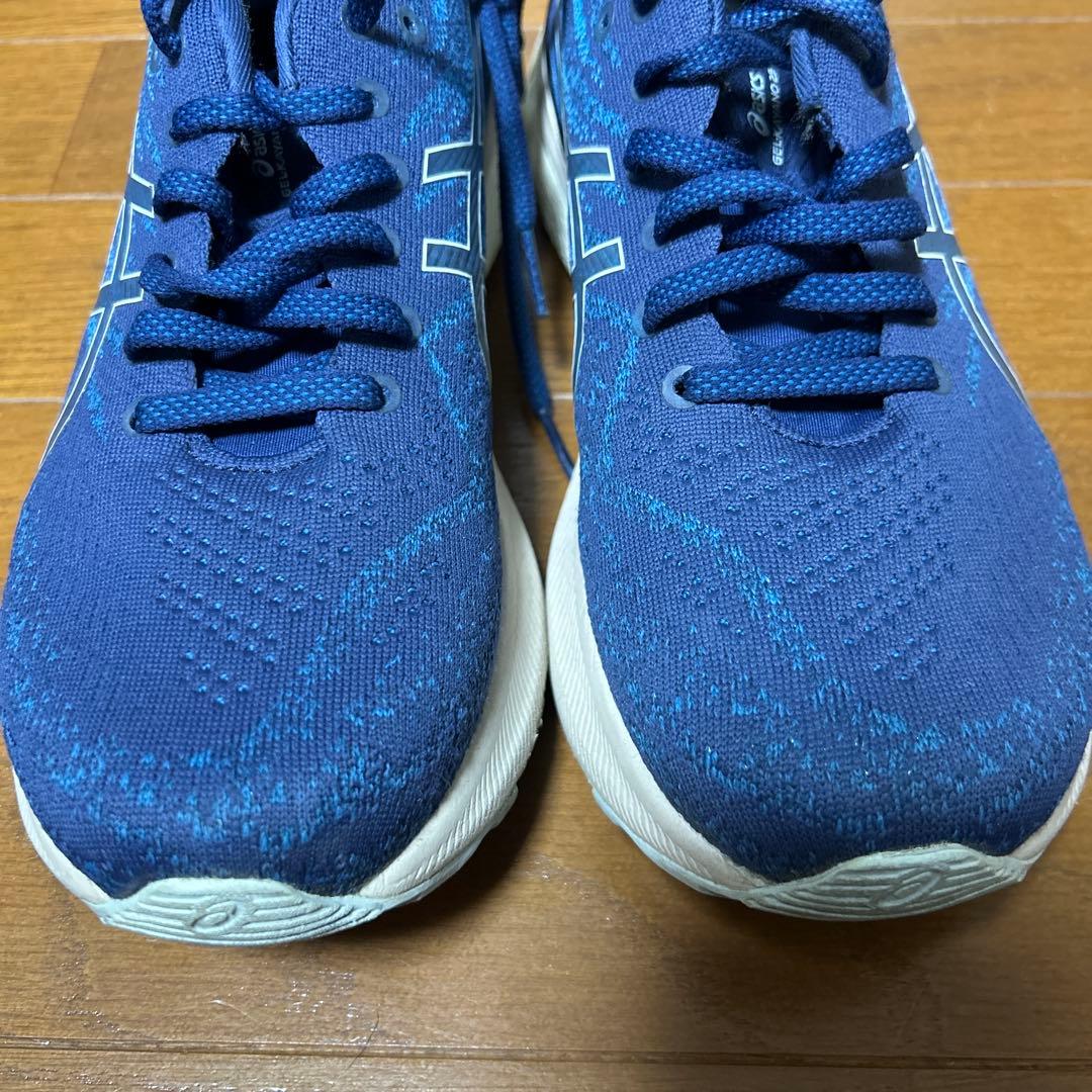 ASICS ゲルカヤノ29 25.0㎝
