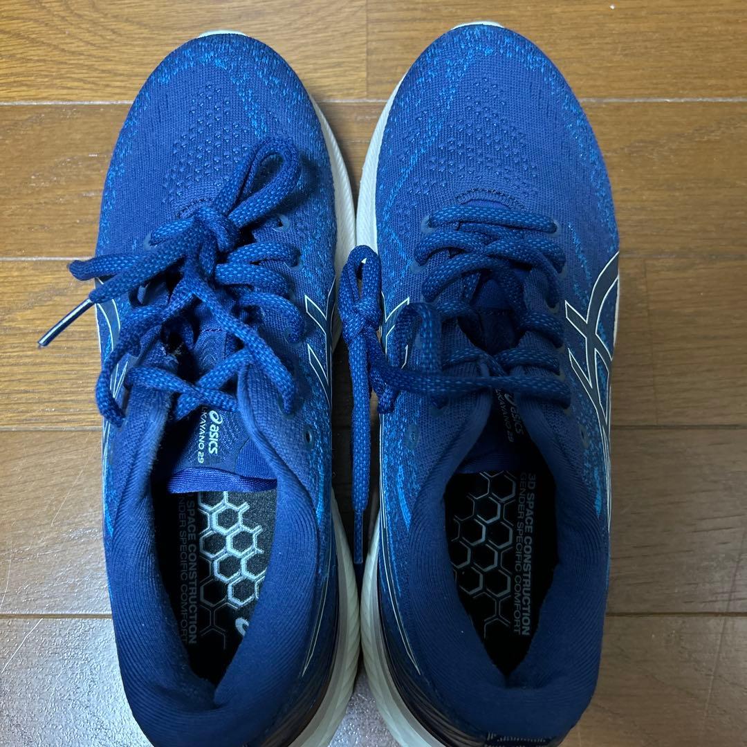 ASICS ゲルカヤノ29 25.0㎝