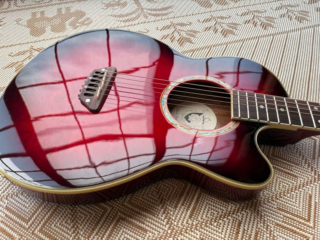 Paul Smith × ESP エレクトリックアコースティックギター　エレアコ