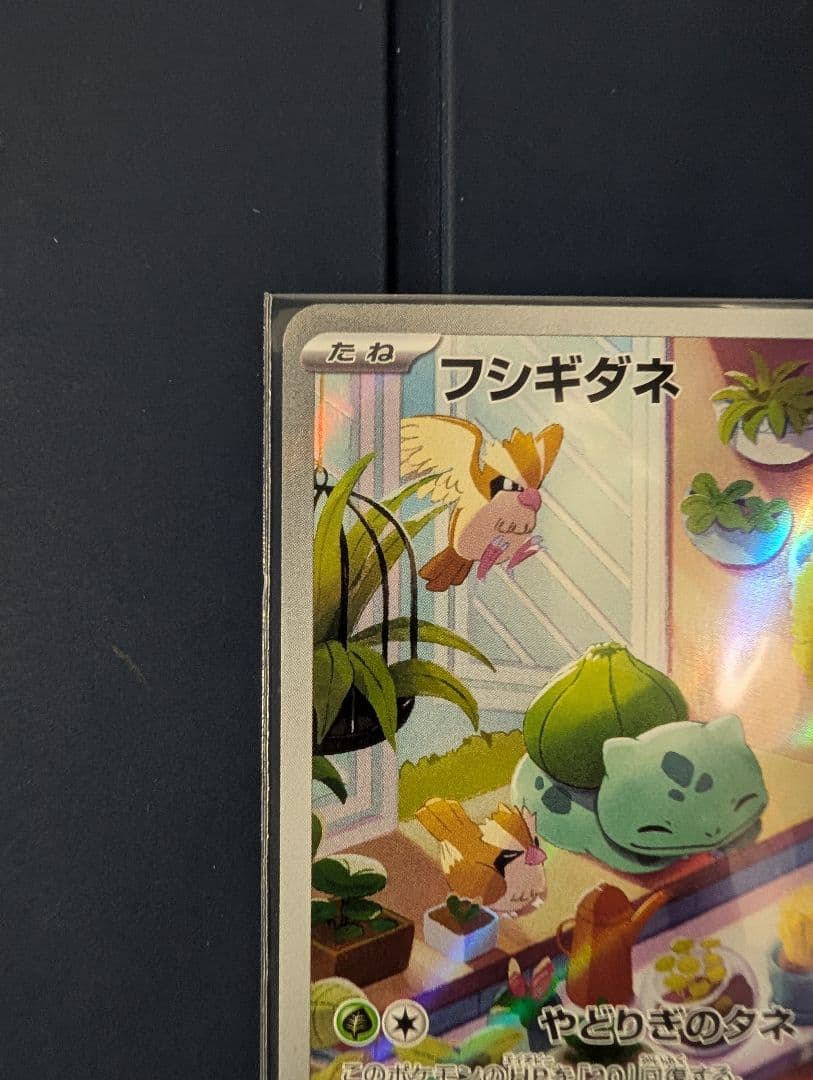 御三家公式ポケモンカード 3枚 ヒトカゲ フシギダネ ゼニガメ スペシャルデッキ