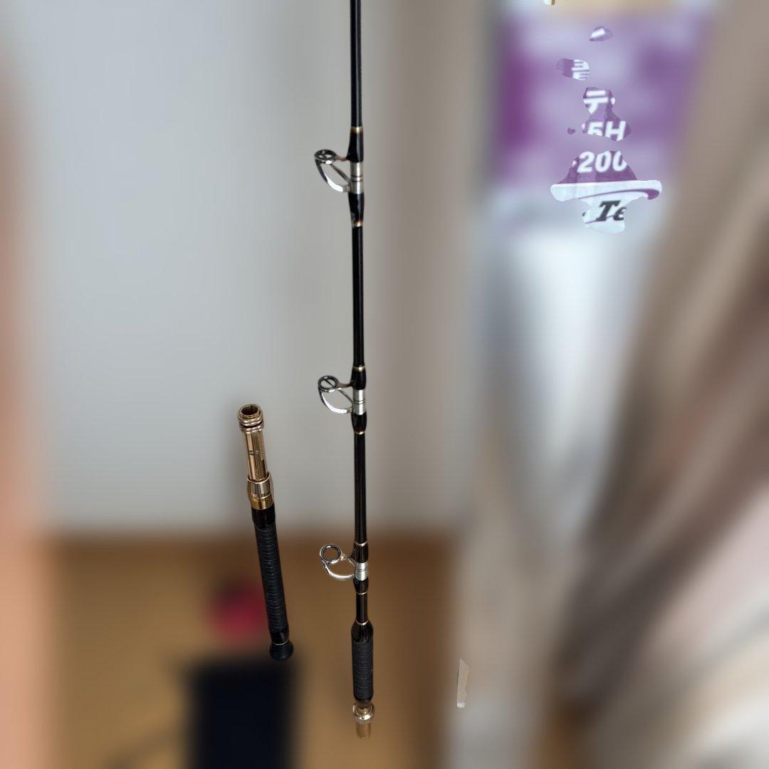 無限ピュア船青物リミテッド175H。