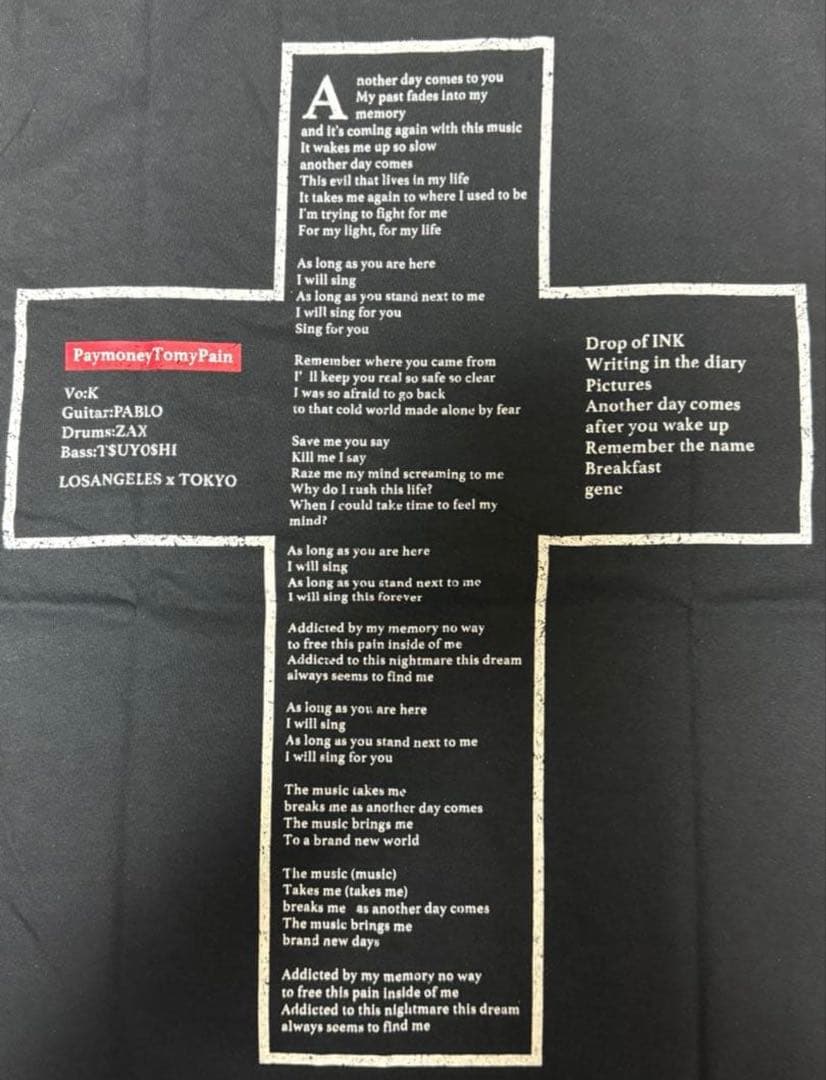 PTP PaymoneyTomyPain Tシャツ M