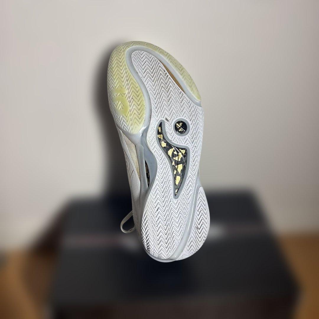 WADE 808 5ULTRA(勝利への道)バスケットボールシューズ　箱付き