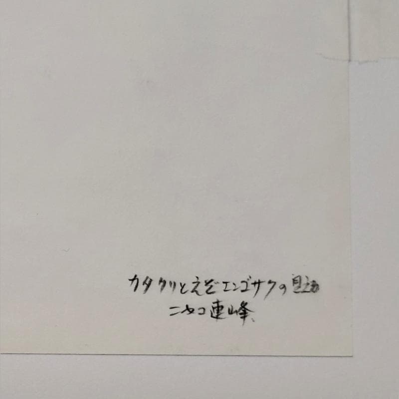 ☆ 境　肇 ☆「カタクリとエゾエンゴサクの見えるニセコ連峰」水彩画新品額！