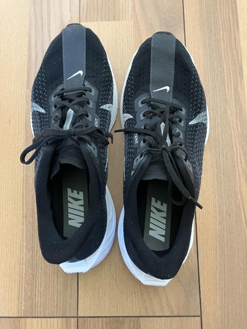 Nike ペガサスプラス