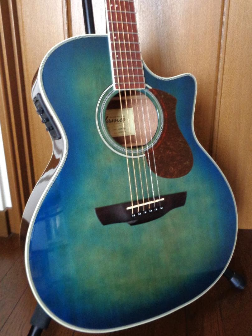 James J-350C EBU　Fishman製ピックアップ　エレアコ　美品！