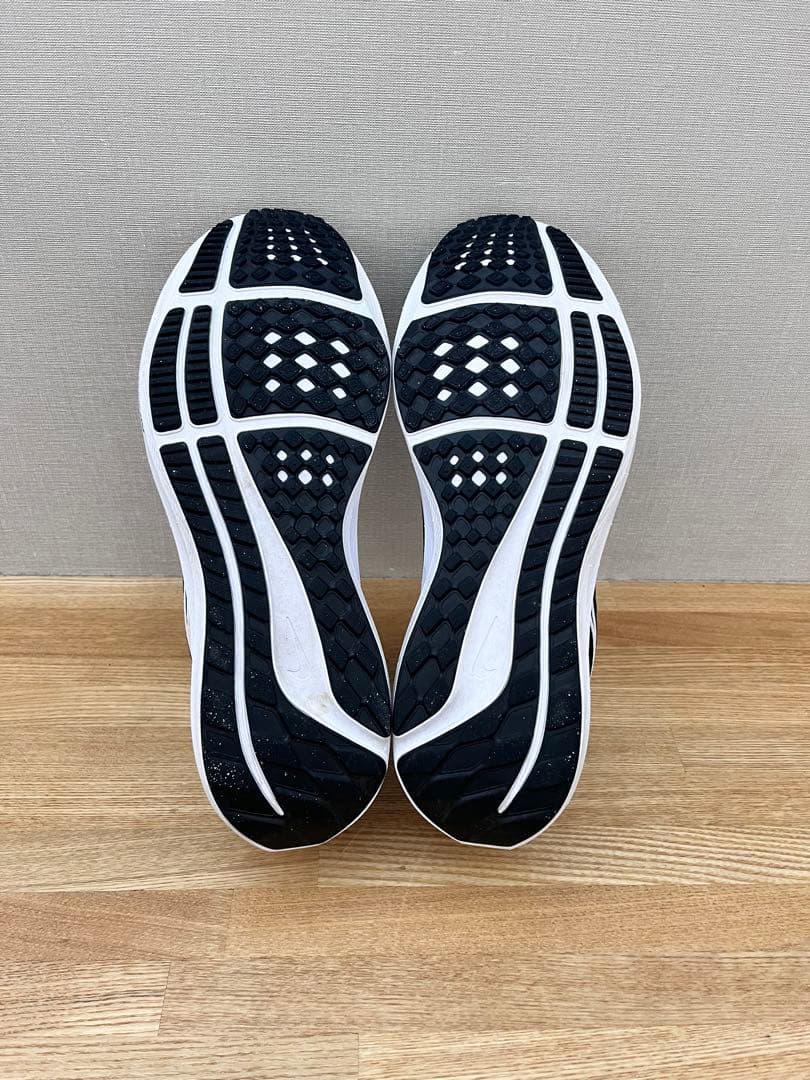 NIKE ナイキ ペガサス40