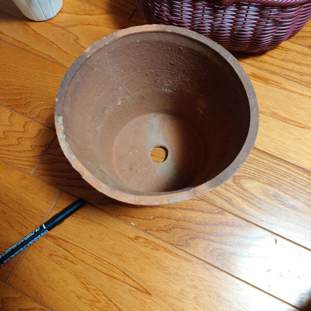 寄せ植え花　すみれ図鑑　はせページ