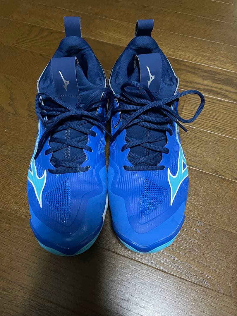 Mizuno ウェーブモーメンタム、バレーボールシューズ 青