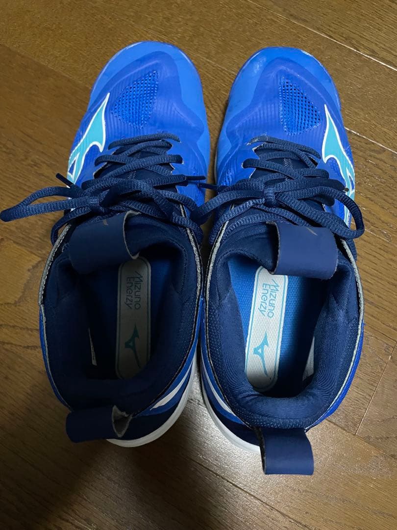 Mizuno ウェーブモーメンタム、バレーボールシューズ 青