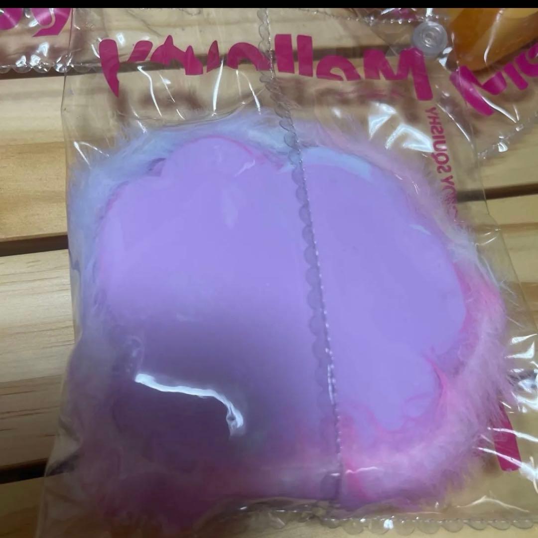 ま*さ様 mellojoy 猫爪　もふもふ　すいか　茶トラ