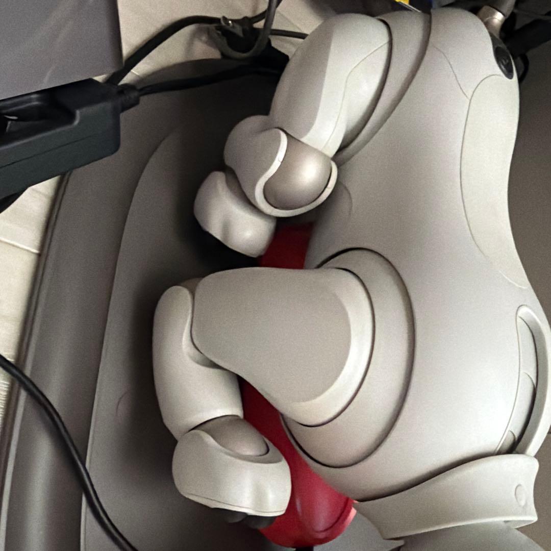 SONY　aibo アイボ ペットロボット 家電 ERS-1000 【中古】