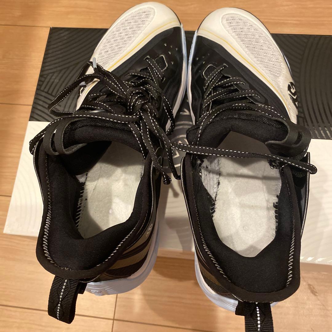 j*r様 ZEN VI \"Yin Yang\" 361° アーロンゴードン　27.