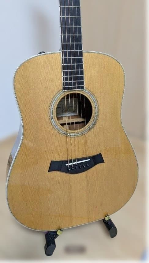 ⭐激レア⭐Taylor エレアコ Custom DNシリーズ アディロンダック