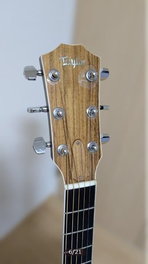 ⭐激レア⭐Taylor エレアコ Custom DNシリーズ アディロンダック