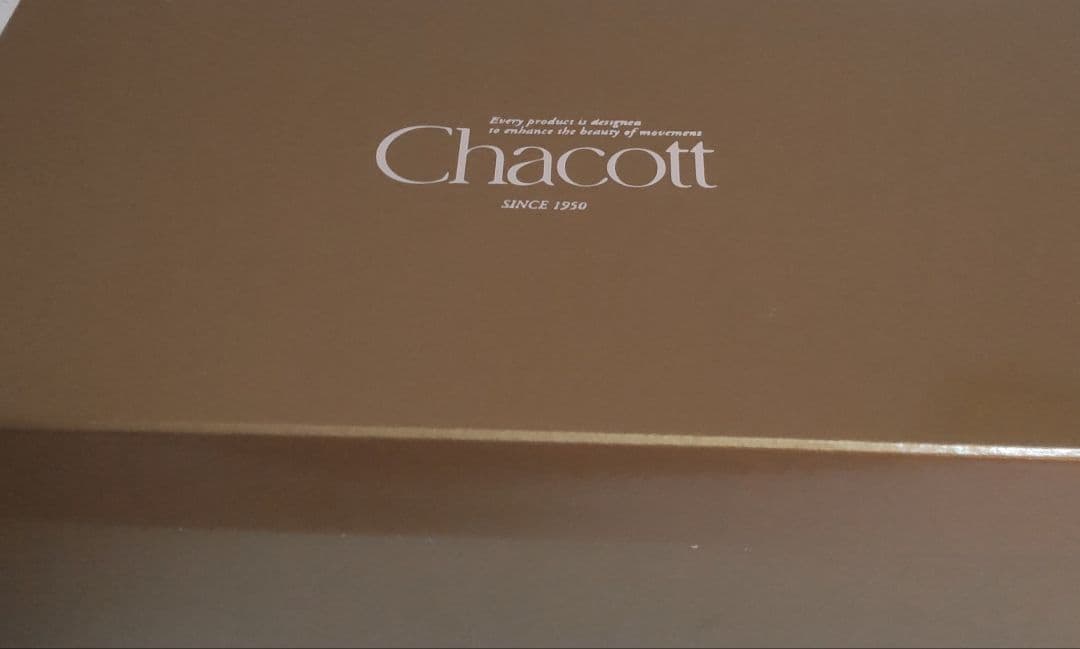 Chacott メタリック ダンスシューズ 美品