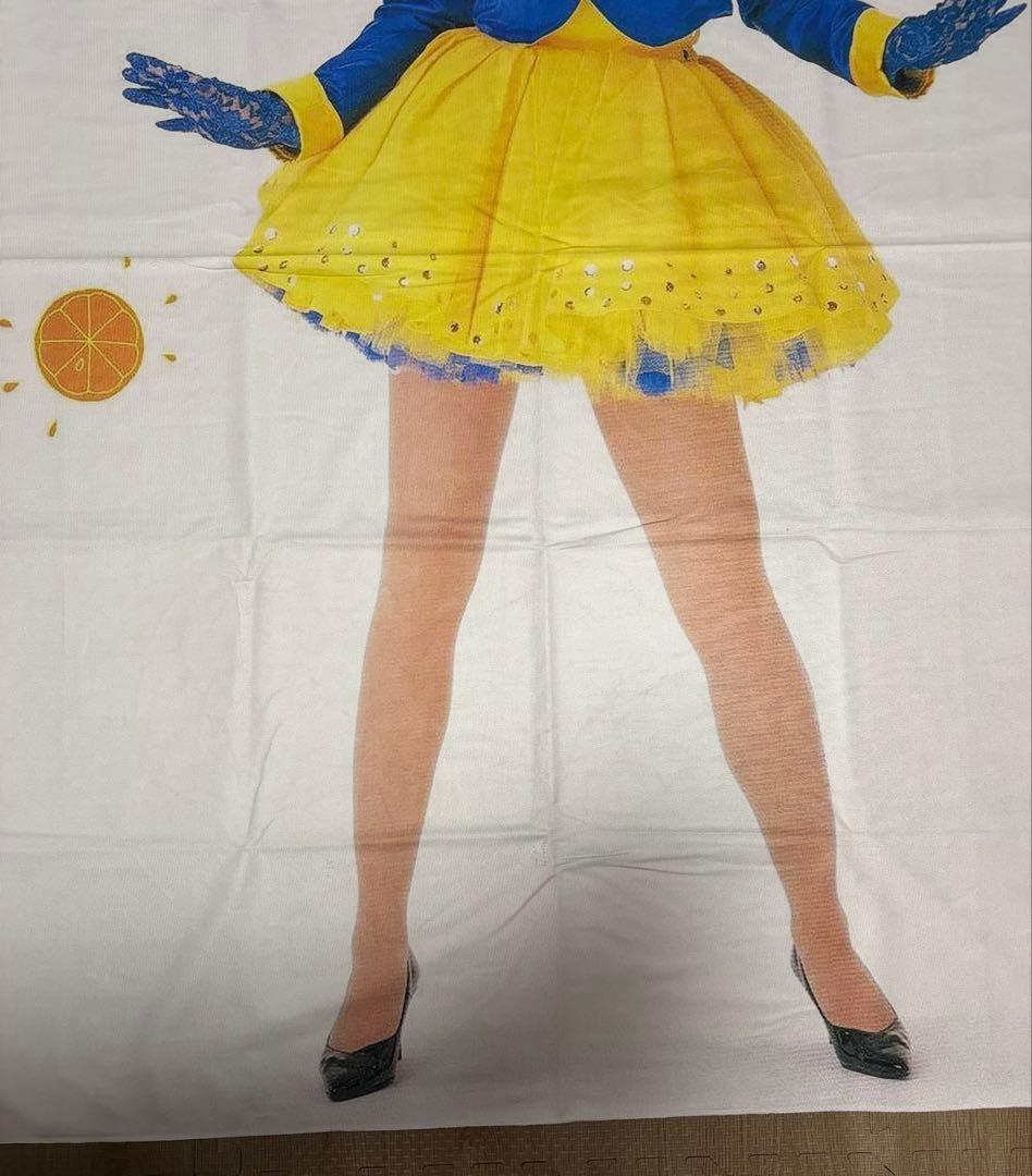 森高千里　タペストリー　壁掛け　カーテン　肌掛け　新品　17才　b