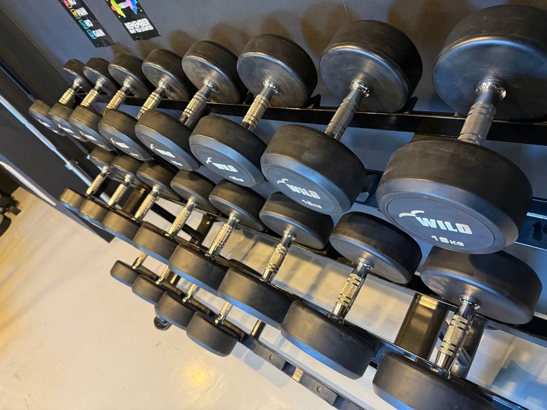 WILD 固定式ダンベルセット 12kg〜30kg ラック付き 2kg刻み