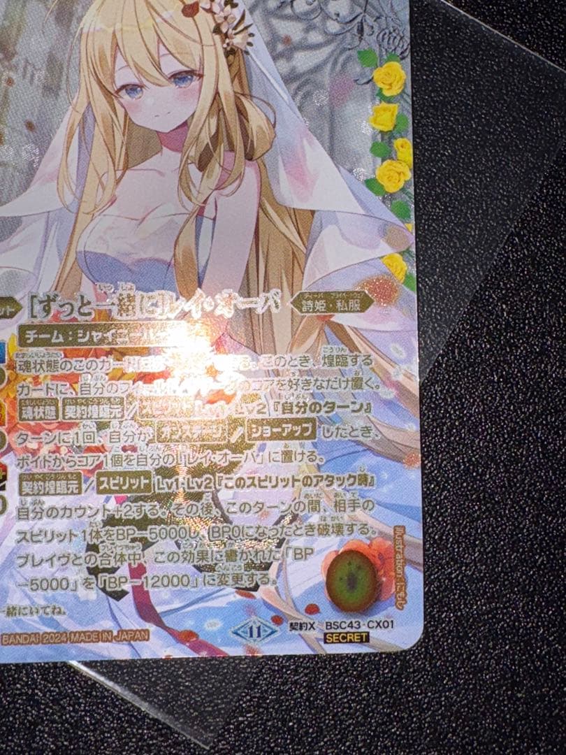 ずっと一緒に　レイ・オーバ