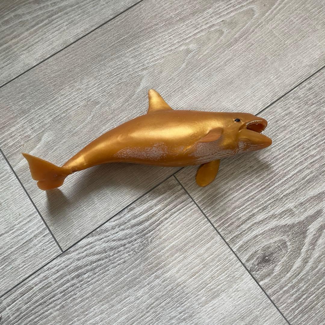 くじら＆Co. ビッグ　セット