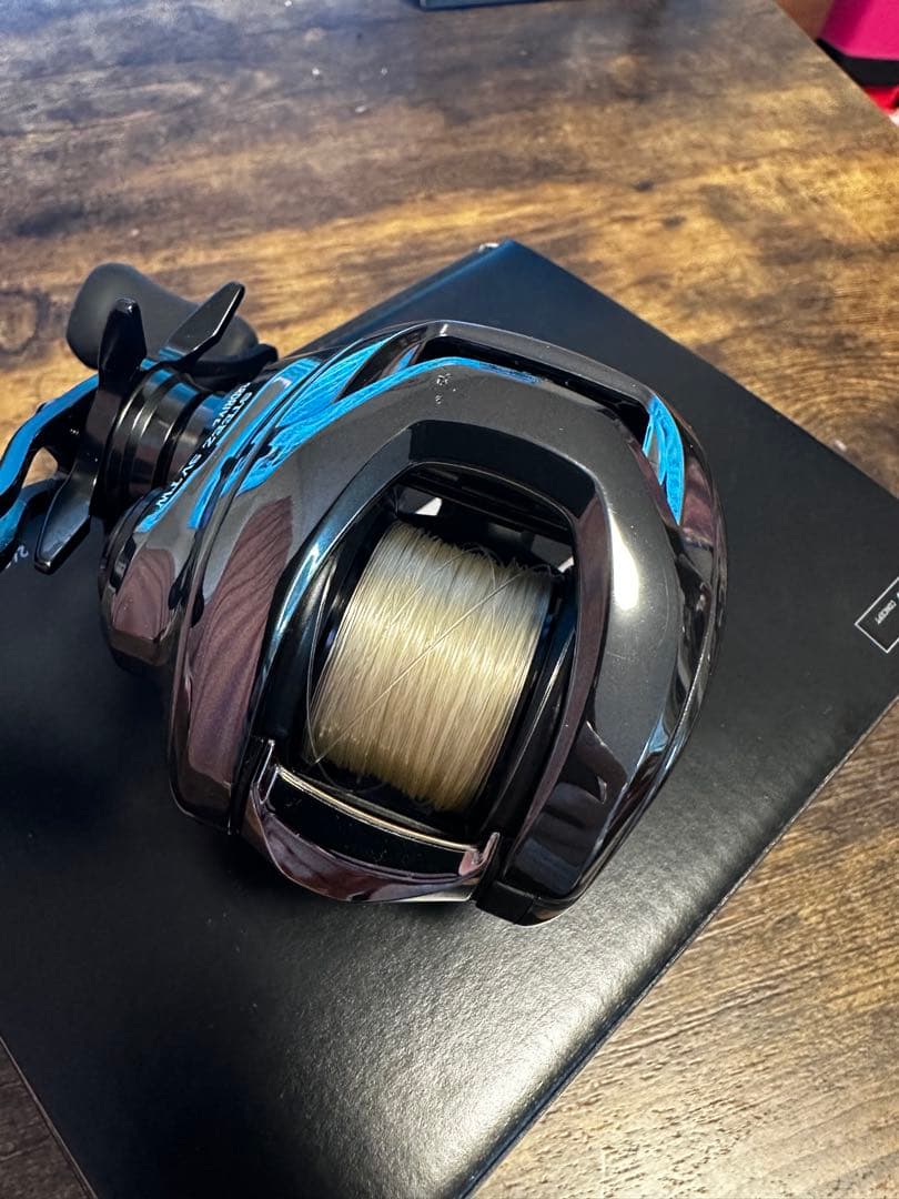 蒼*犬様 STEEZ SV TW 100HL