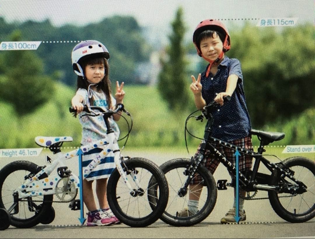 ytsマリン　MARIN 16インチ　子供用自転車　キッズ　車庫保管