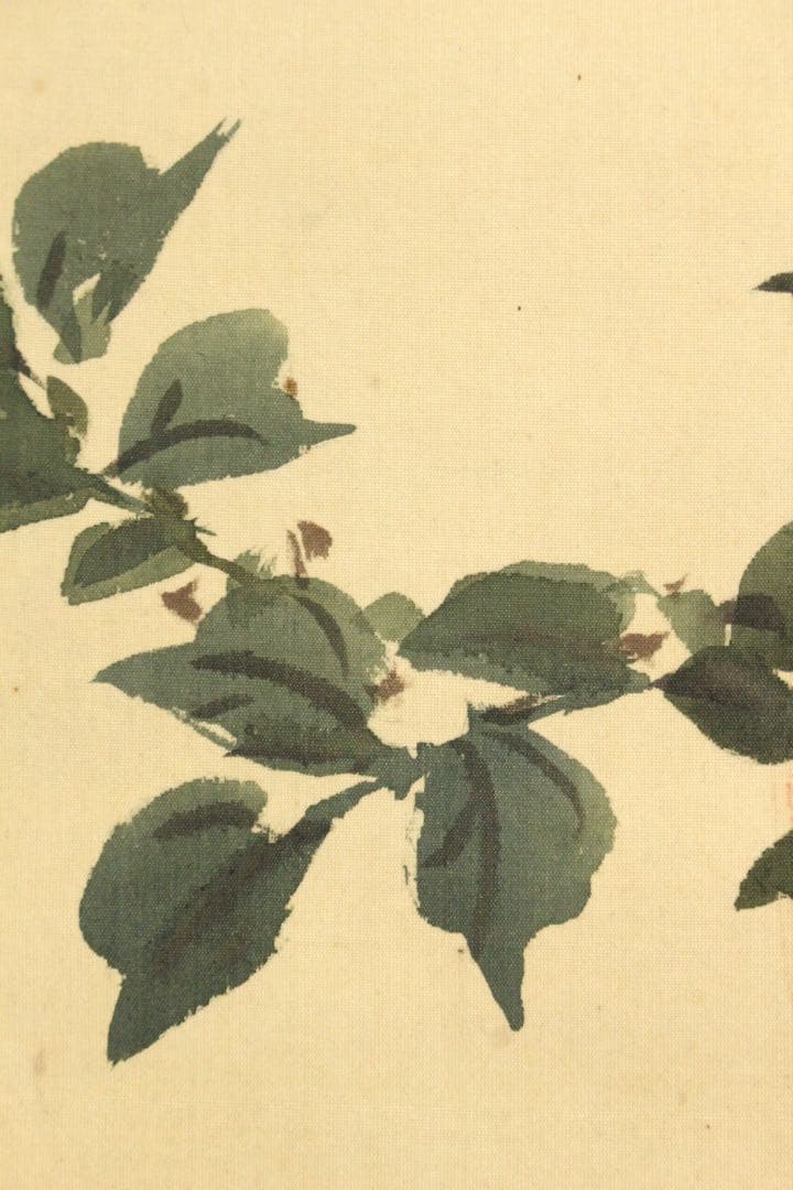 No5913 掛軸　在銘　幸野西湖　「薔薇に雀」　花鳥図　着色絹本　送料無料