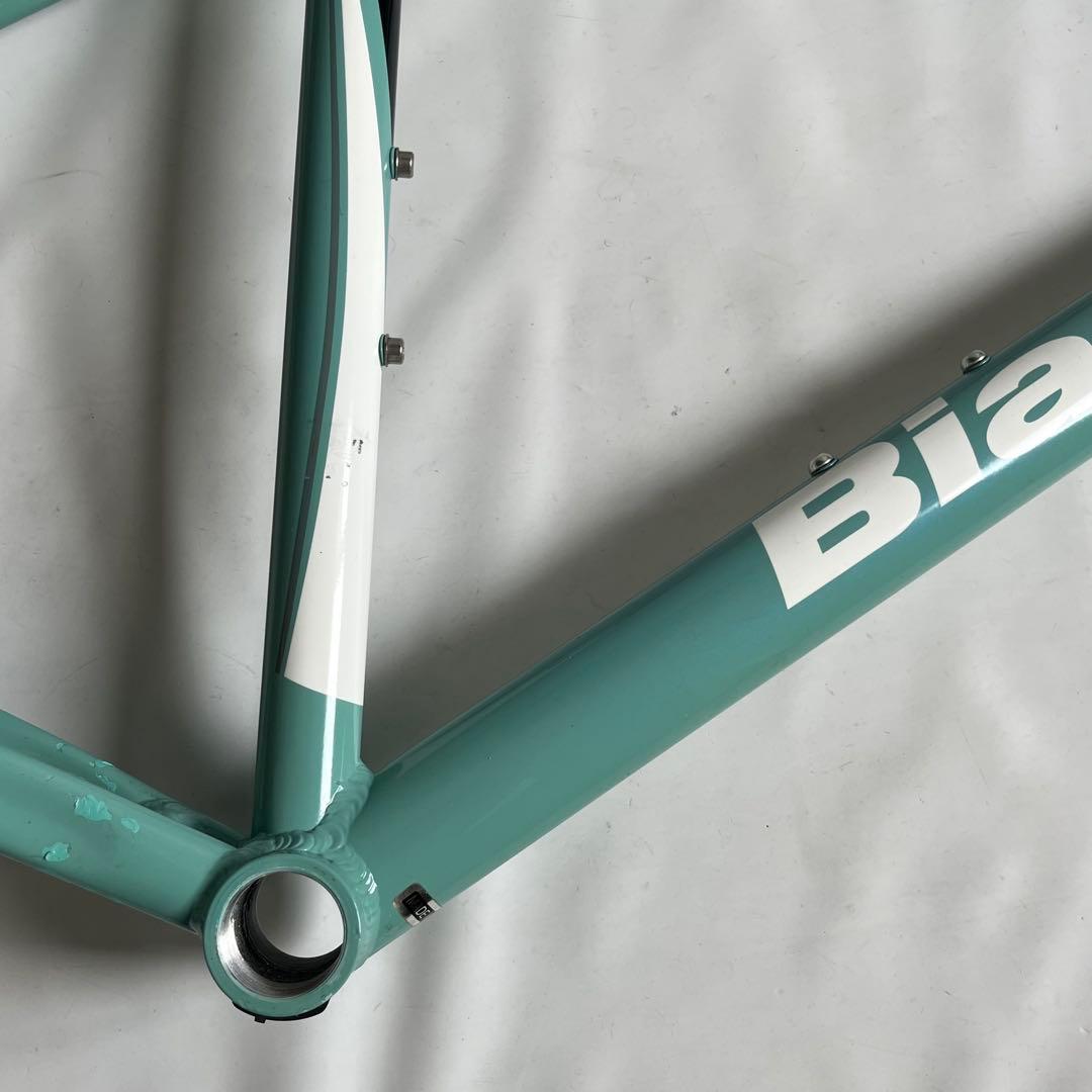 BIANCHI ROMA II 46サイズ