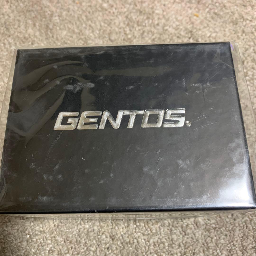 GENTOS GH-103RG ヘッドランプ